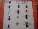 RARE FRENCH LP SYD BARRETT ( pink floyd ) BARRETT 1970