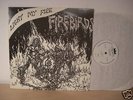 FIREBIRDS Light My Fire US 1968 HEAVY PSYCH LP MINT RE