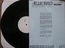 MANFREDO FEST - JUNGLE KITTEN very rare promo 12