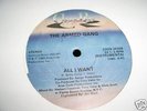 THE ARMED GANG ALL I WANT 12