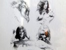 LED ZEPPELIN - BBC Sessions Box New SEALED Audiophile