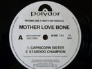 Mother Love Bone RARE 12