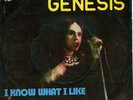 RARE GENESIS 7
