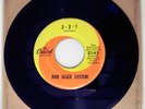Bob Seger System, 2 + 2 = ?, Killer Garage/Psych 45