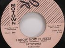 SATINTONES I Know How It Feels 45 RARE SOUL MOTOWN 7