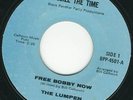 Rare Political Funk/Soul 45: The Lumpen, Free Bobby Now