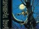 IRON MAIDEN: FEAR OF THE DARK. 1992. VINILO.