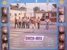 SALSA GUAGUANCO VENEZUELA *ORQ SENTIMIENTO*VERY RARE???