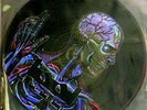 TOOL LATERALUS LP PICTURE DISC MINT