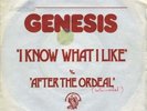 GENESIS I KNOW WHAT I LIKE 7