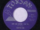 CHAPTER ONE: How Can Anyone (tell Me) / Thinking About The Days 45 rare Soul