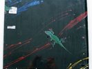 CHAMELEON Techno-Color LP 1982 PRIVATE AOR pomp INSERTS