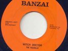 THE VALHALLA - WITCH DOCTOR - 1968 CANADA DEMO -PSYCH