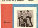 THE BOOTJACKS:Route 66/Got my mojo working