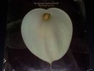 Spencer Jackson Family HAND OF GOD Gospel Funk SEALED
