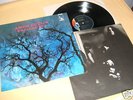 LP Amon Düül II,Phallus Dei,Erstpr mit Poster,Mint-