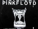 Pink Floyd  