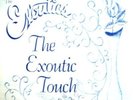 THE EXOUTICS LP VERY RARE PRIVATE SOUL FUNK LISTEN
