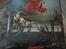 PROFANATICA-BROKEN JEW(Marduk,Emperor,Mayhem,Satyricon)