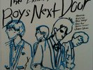 BOYS NEXT DOOR LP BIRTHDAY PARTY NICK CAVE LP 73/100