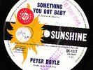 SOMETHING YOU GOT BABY PETER DOYLE 1966 FUZZ FREAKBEAT