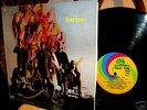 1968 Orig  FEVER TREE 1st   Texas Garage Psych SF GIRLS