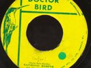 RAYMOND HARPER  SAFARI  DUBPLATE  RARE AND KILLER SKA