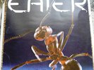 EATER The Album LP THE LABEL 1978 original with inner