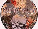 MALEVOLENT CREATION -The fine art of murder Pic-LP ltd.
