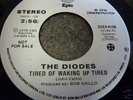 DIODES RARE CANADA PUNK PROMO  7