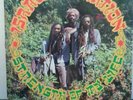 ISRAEL VIBRATION 