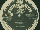 MIKEY DREAD-WARRIOR STYLEE- DREAD THE CONTROLS 12