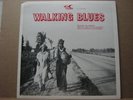 Walking Blues on Flyright 541 