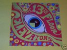 13th Floor Elevators Psychedelic Sound LP Roky Erickson