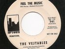 The Vejetables 'Feel The Music' 1966 MONSTER VG++ HEAR