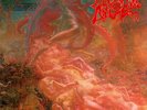 MORBID ANGEL blessed are the sick LP original 1st print