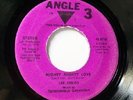 Soul 45 * Lee Fields * Mighty mighty love * Mint-