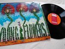 YOUNG FLOWERS - BLOMSTERPISTOLEN   danish Prog Rock