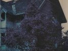 Terje Rypdal: Bleak house near mint