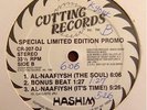 HASHIM | PRIMROSE PATH | RARE PROMO ELECTRO FUNK 12