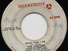 Top Rude Boy Tunes -TARTANS -Original MERRITONE -Listen