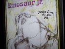 DINOSAUR JR you're living all over me LP very ltd BLACK