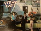 STRAY CATS BRIAN SETZER BUILT FOR SPEED AUTOGRAPHED LP
