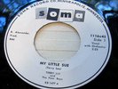 RARE ROCKABILLY-MY LITTLE SUE-TERRY LEE-POOR BOYS-1959