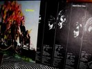 MINT 1968  FEVER TREE 1st   Texas Garage Psych SF GIRLS