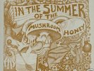 IN THE SUMMER OF THE MUSHROOM HONEY LP-Mint Ltd. Psych