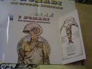LP I NOMADI - UN GIORNO INSIEME LTD EDITION+POSTER PROG
