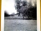 MACREEL - STEP IT OUT- PRIVATE DUTCH FOLK MONSTER MINT-