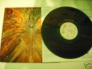 Rare Cynic Focus Vinyl (OOP)