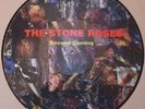 The Stone Roses Second Coming Rare New Picture Disc LP